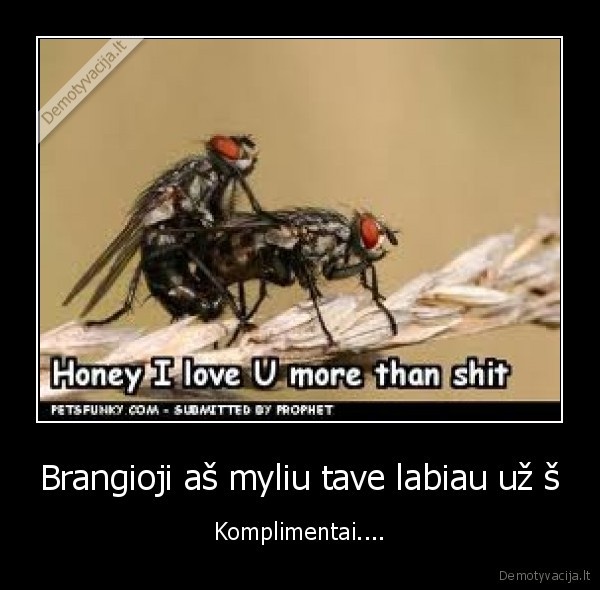 Brangioji aš myliu tave labiau už š