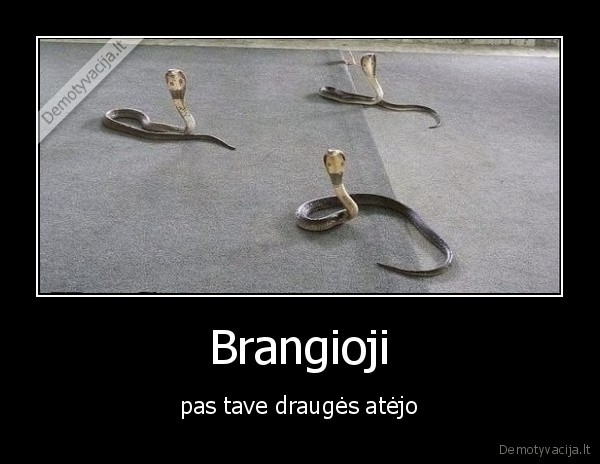 drauges