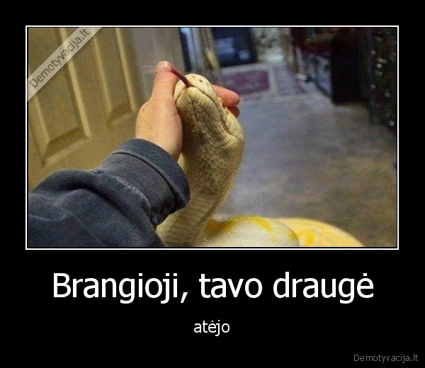 drauge,merginos