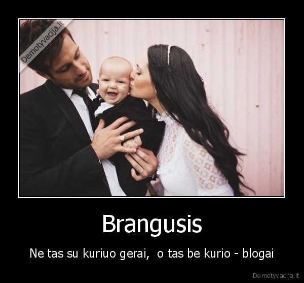 Brangusis