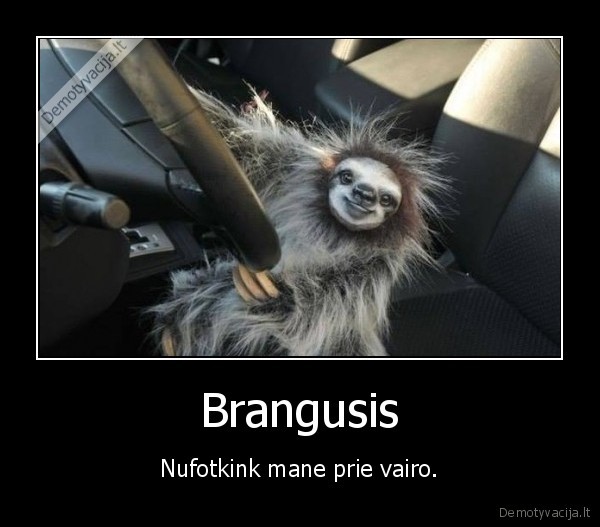 moterys,vairas,nuotrauka