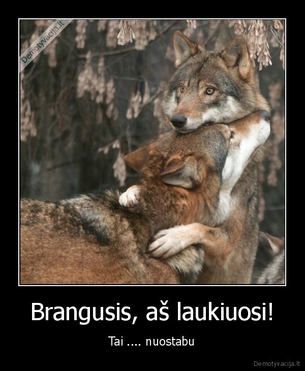 Brangusis, aš laukiuosi!