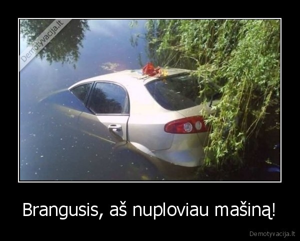 zmona,moterys,nuplove, masina,paskandino,masina,automobilis