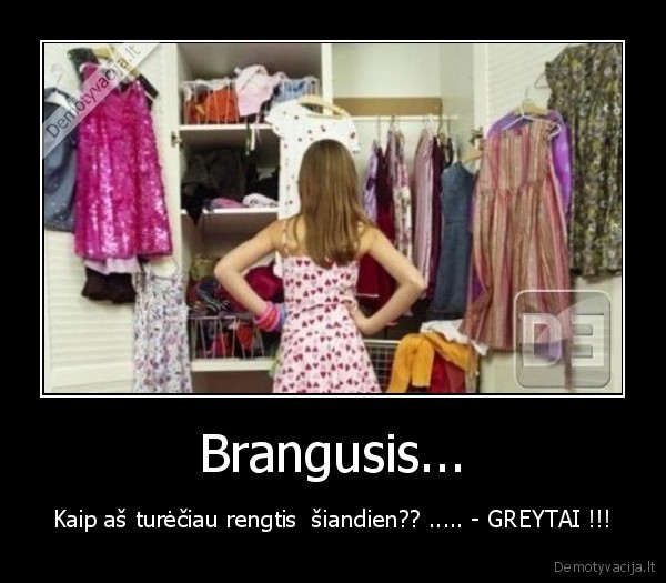 Brangusis...