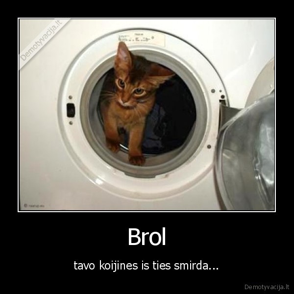 Brol