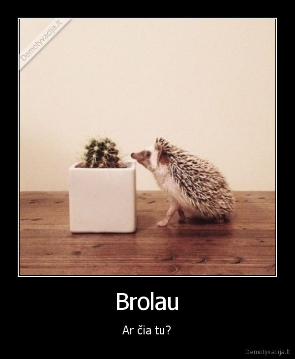 eziukas,kaktusas