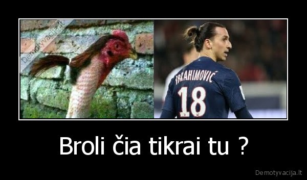 Broli čia tikrai tu ?