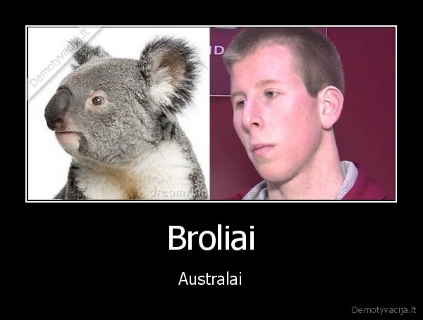 zalgiris,brock, motum,koala,australija