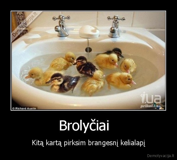Brolyčiai  