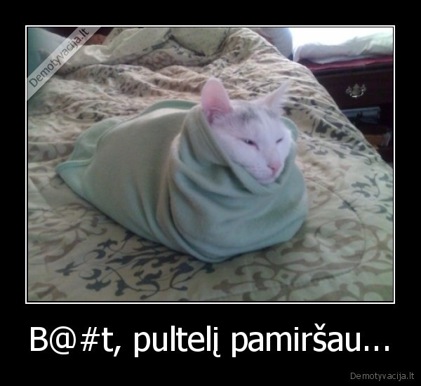 B@#t, pultelį pamiršau...