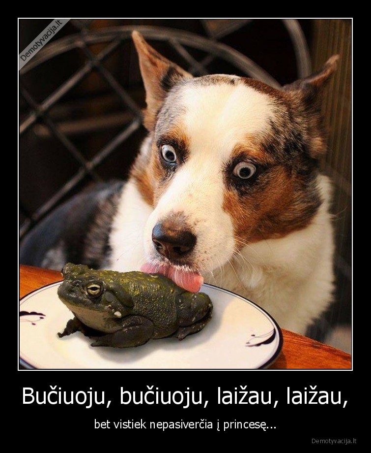 suo,rupuze,laizo