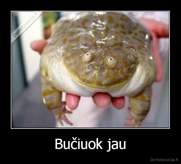 Bučiuok jau