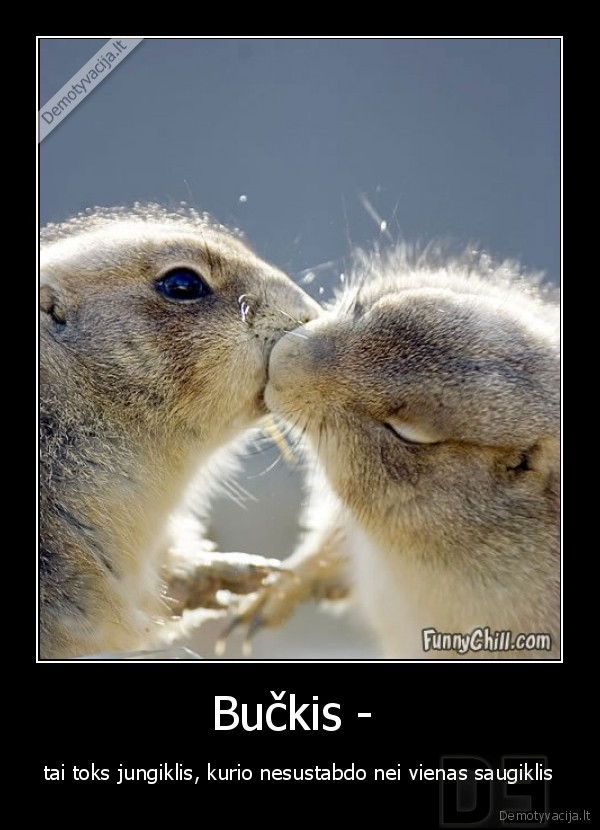 Bučkis - 