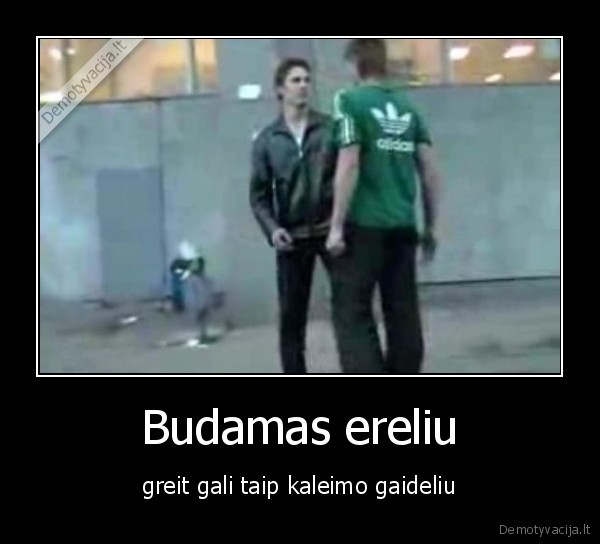 Budamas ereliu