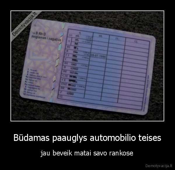 teises,teisikes