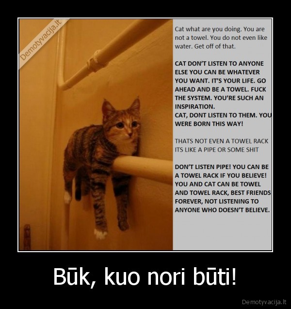 kate, ranksluostis, buti, nebuti, kuo, nori, cat, towel, pipe, rack