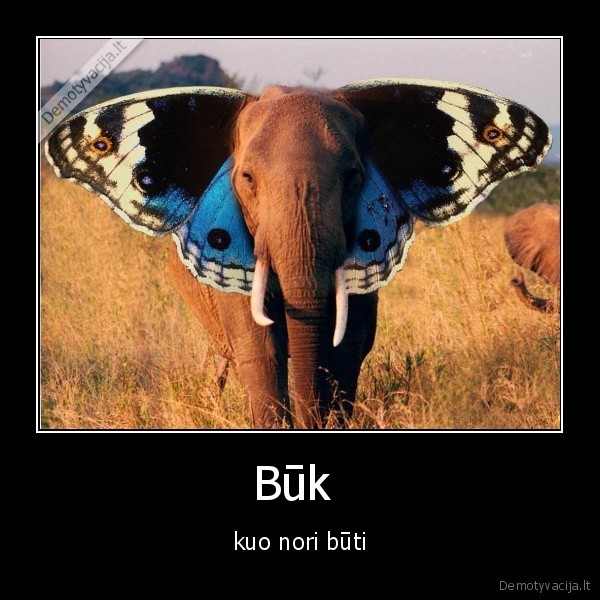 Būk 