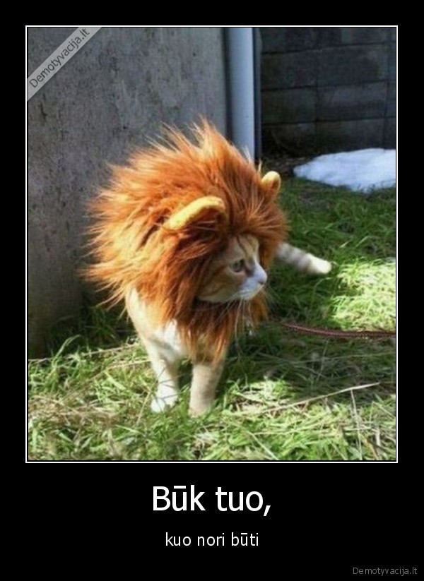 buti, savimi