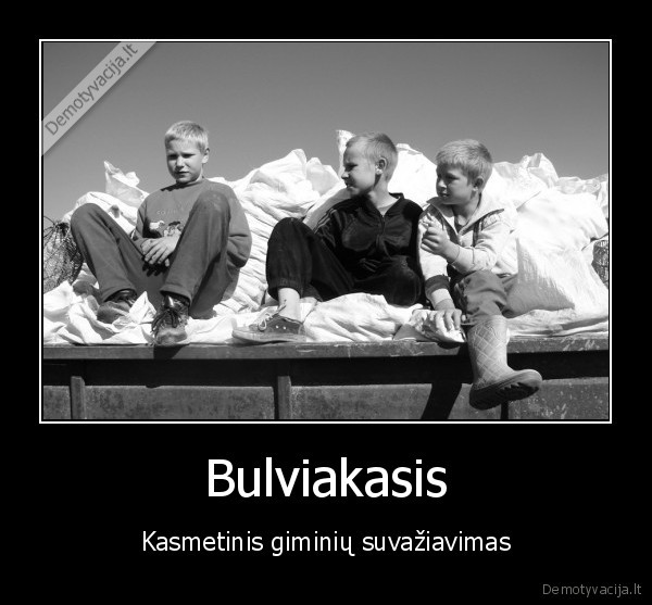 Bulviakasis
