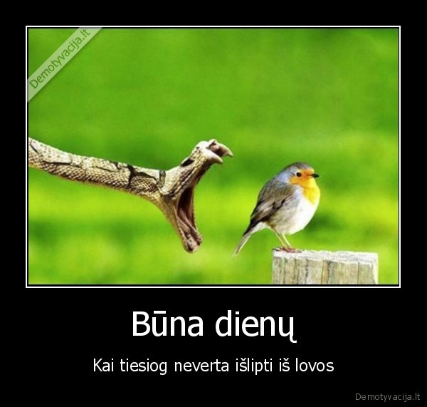 Būna dienų