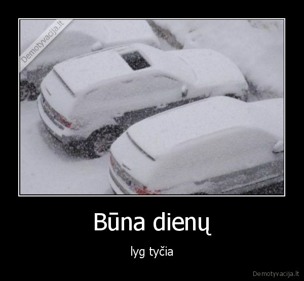 car, shit