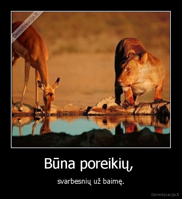 Būna poreikių, 