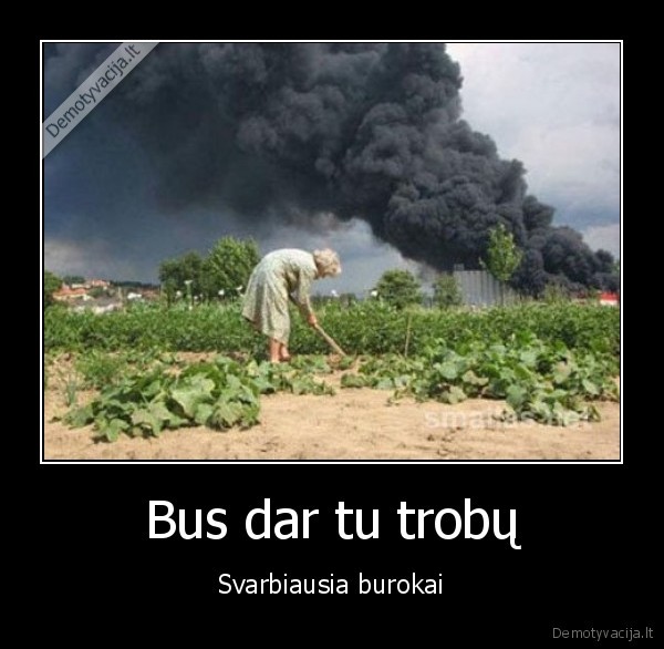 Bus dar tu trobų