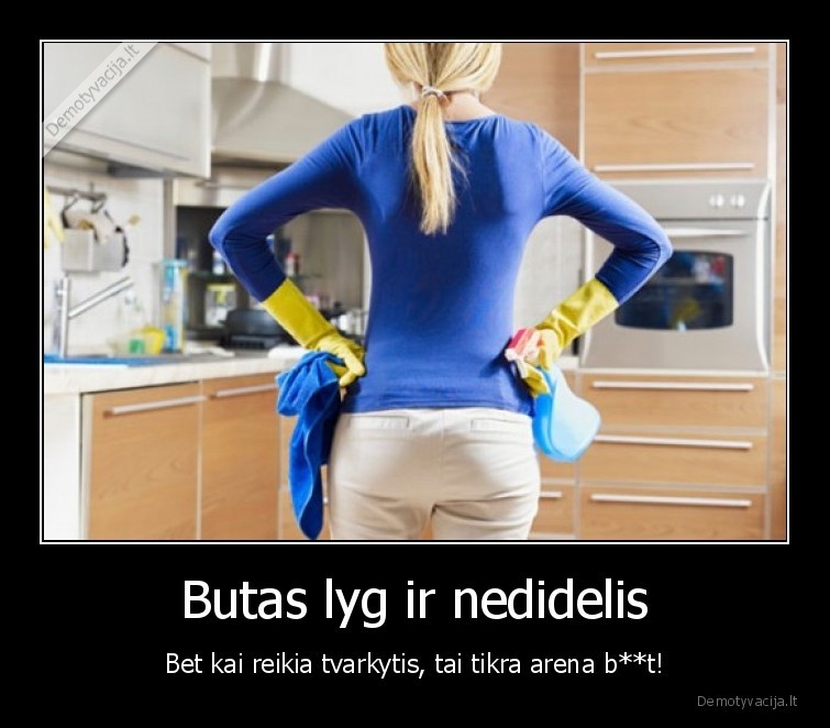 siemens, arena,buto, tvarkymas,tvarka, namuose