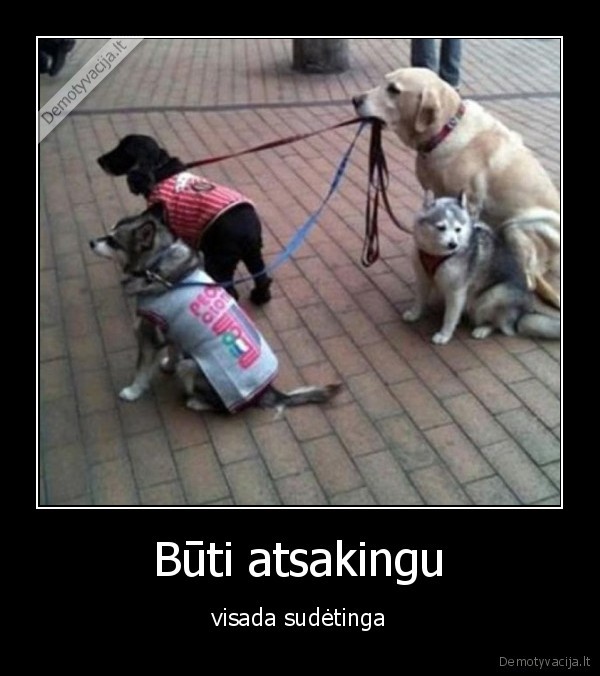 atsakingas