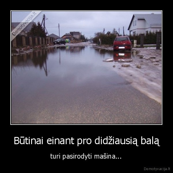 bala,masina,nervuoja,pzdc