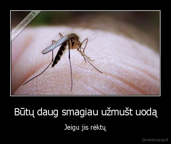 uodai,ciulpia