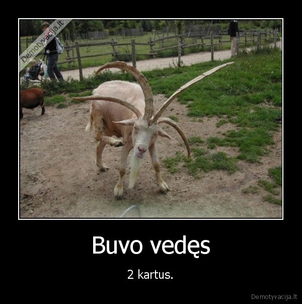ozys,ragai,vedes