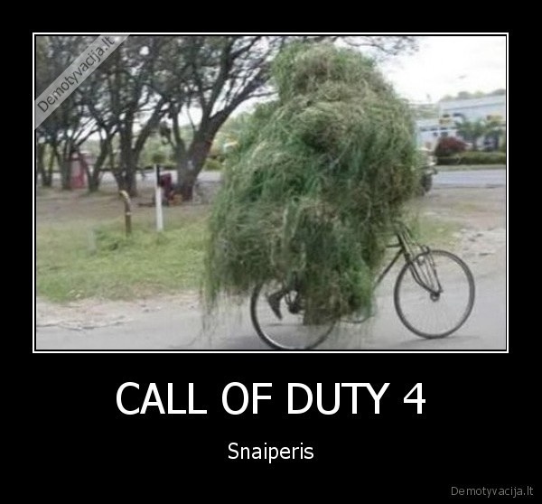 call,of,duty,4,snaiperis