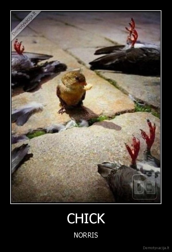 CHICK
