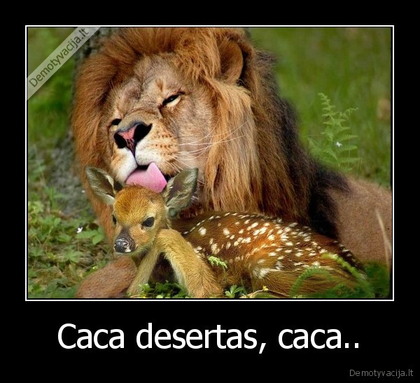 Caca desertas, caca..