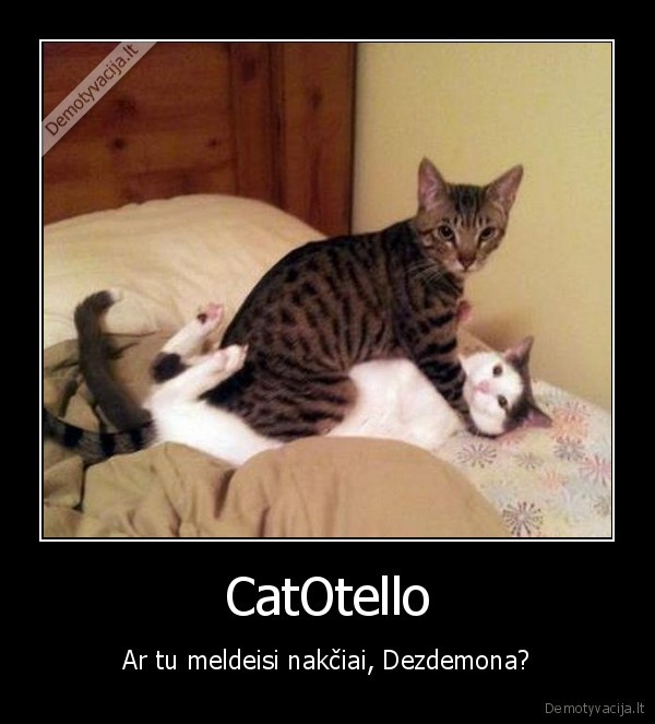 CatOtello
