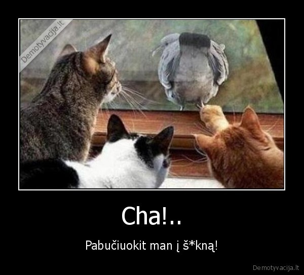 Cha!..