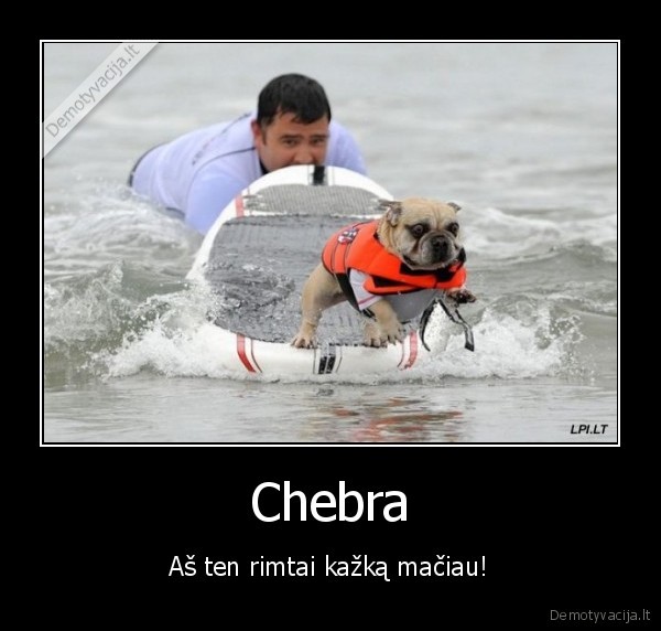 bobikas, skraido