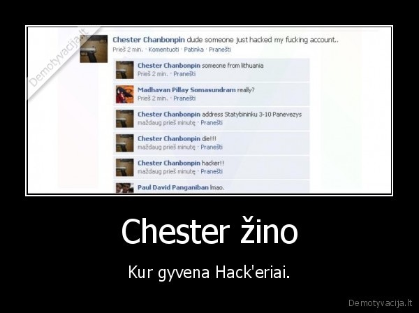 Chester žino