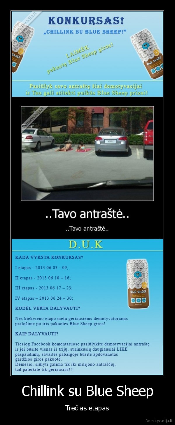 blue, sheep,konkursas,gira