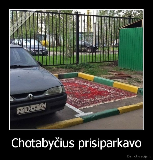 chotabycius,skraidantis, kilimas