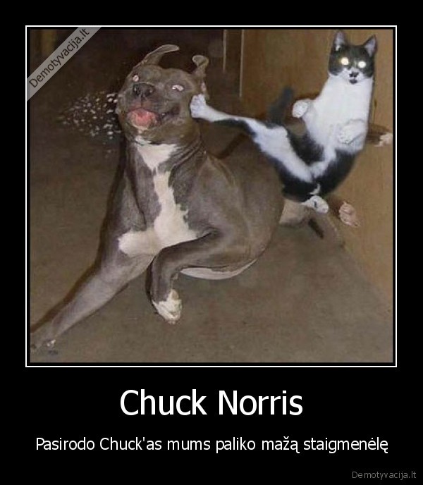 Chuck Norris