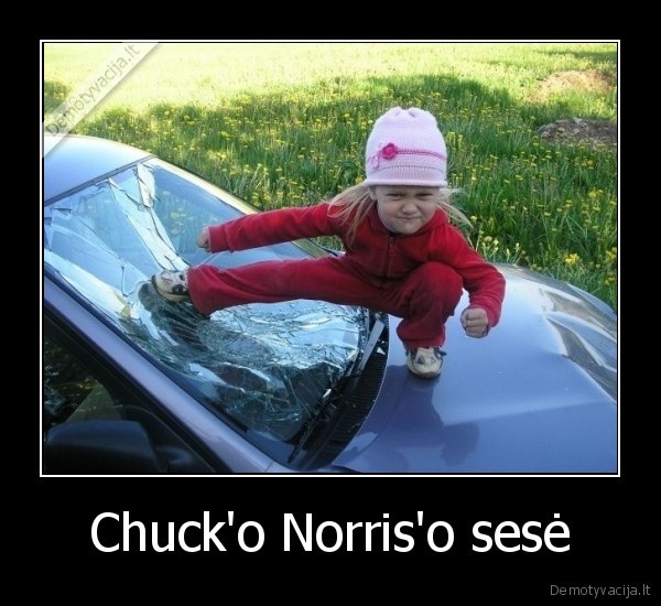 Chuck'o Norris'o sesė
