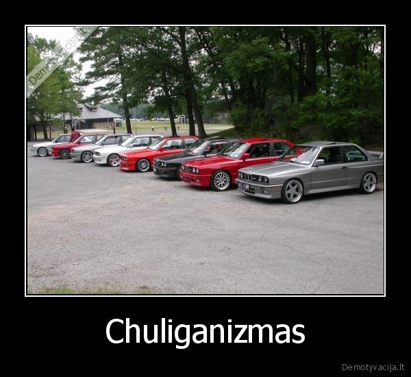 myliu, bmw