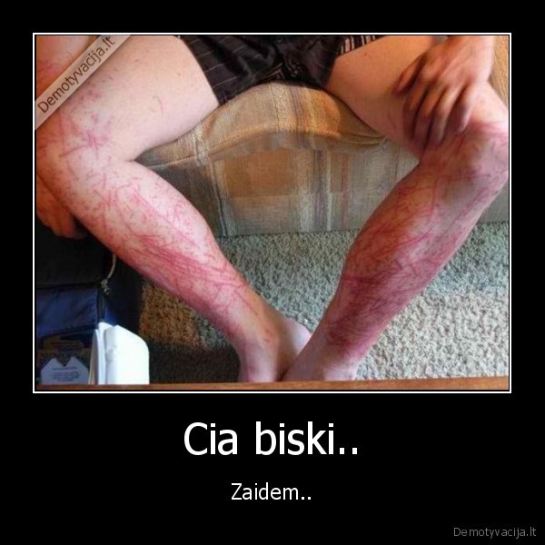 katukas,e,e,e,ble,bek,asile,