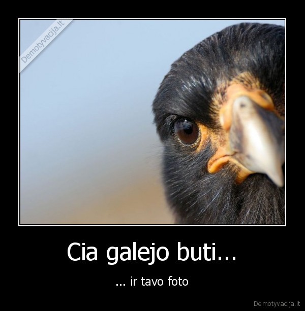 Cia galejo buti...