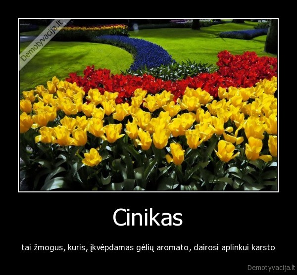 karstas,geles,aromatas,cinikas