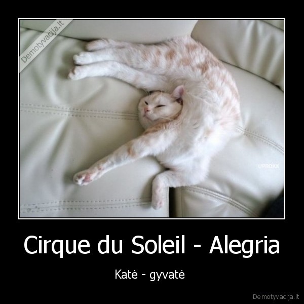 Cirque du Soleil - Alegria