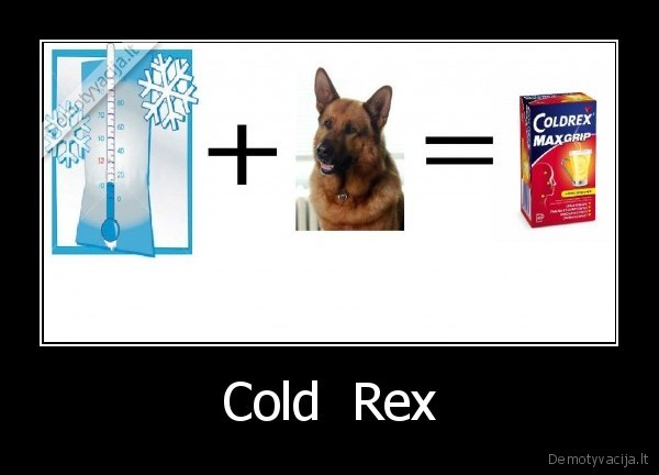 rex, cold, coldrex, uzpisa, kai, salta,zjbs, ryt, vasara