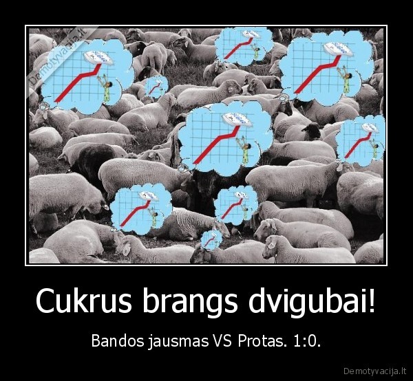 cukrus,bandos, jausmas,makroekonomika
